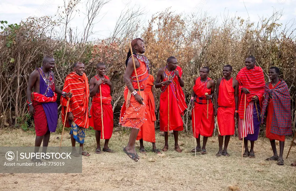 Dance performance of Maasai warriors wearing traditional dress