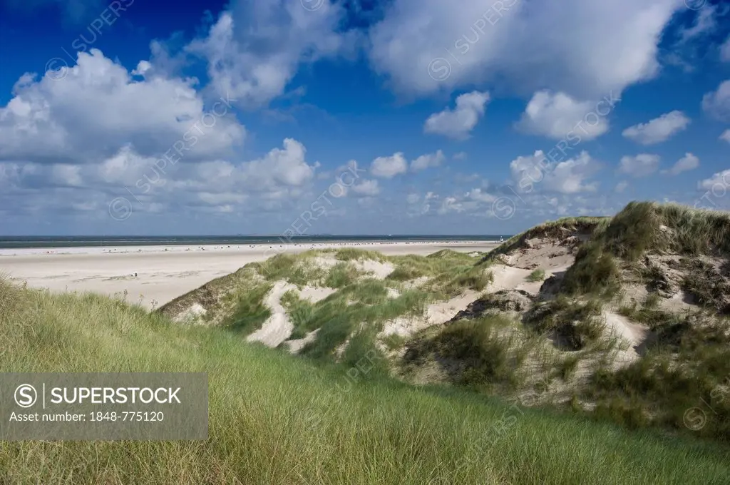 Dunes and a white sandy beach