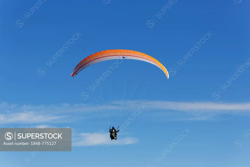 Paraglider paragliding