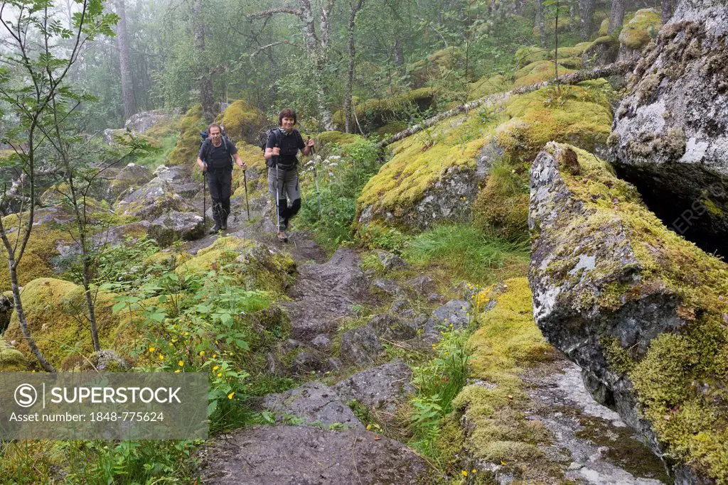 Hikers climbing a mountain path to Hardangervidda mountain plateau, with moss-covered boulders