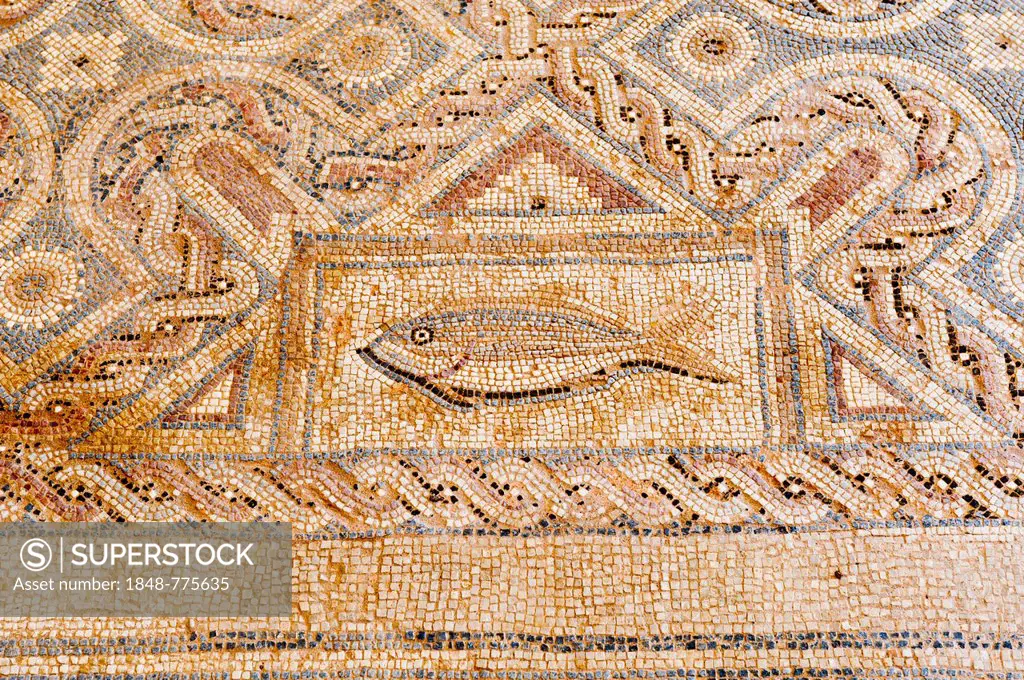 Archaeological site, mosaic in the villa of Eustolios, Christian symbol, and fish ornaments Archaeological excavation site, mosaic in the Villa of Eus...