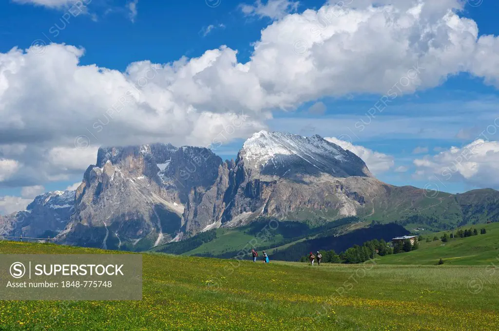 Seiser Alm alpine pastures in front of Piatto Mountain and Sasso Lungo Mountains