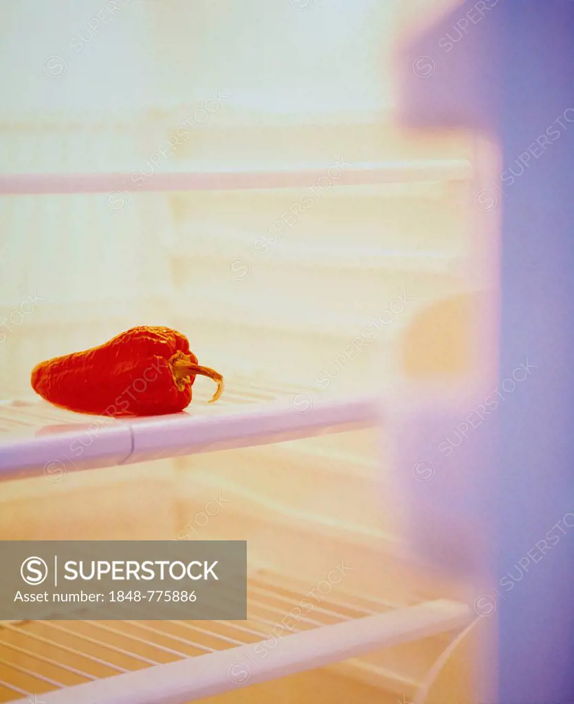 Open refrigerator filled with a red pepper