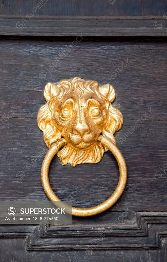 Nassau lion as door knocker, Schloss Weilburg Castle, Weilburg an der Lahn, Hesse, Germany, Europe