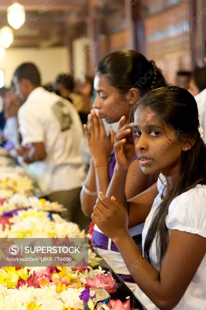 Praying young women sitting in front of flowers, Buddhist shrine, Sri Dalada Maligawa, Temple of the Tooth in Kandy