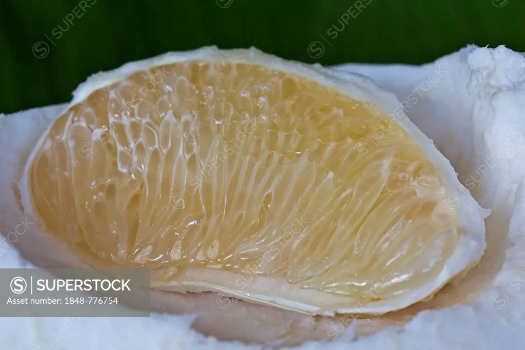 Segment of a pomelo fruit