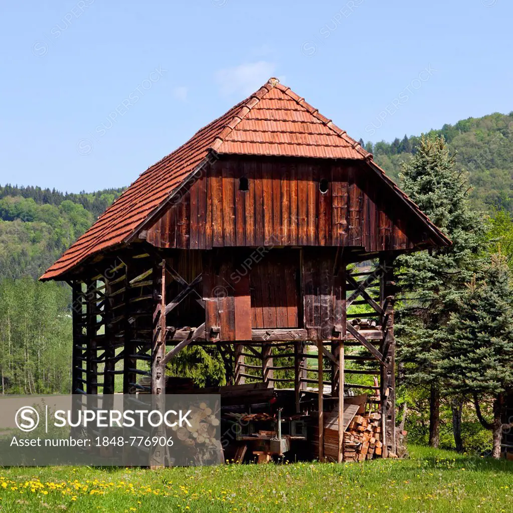 Toplar, typical Slovenian barn, double barn to dry hay near Krka, Slovenia, Europe