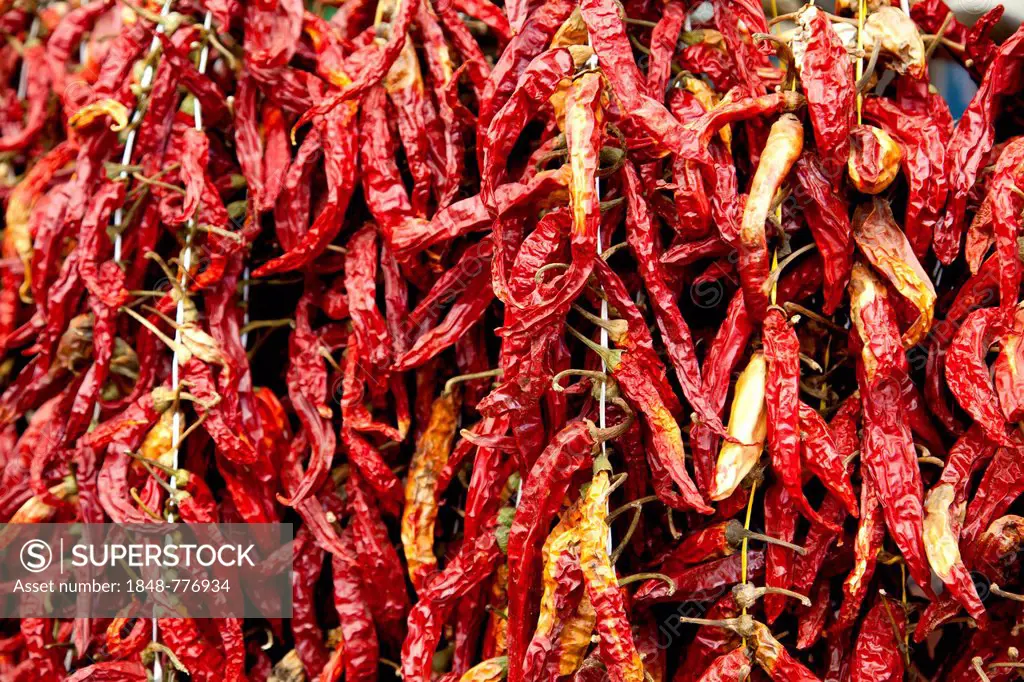 Dried chilli peppers in the vegetable market in Rovinj, Rovingo, Istria, Croatia, Europe