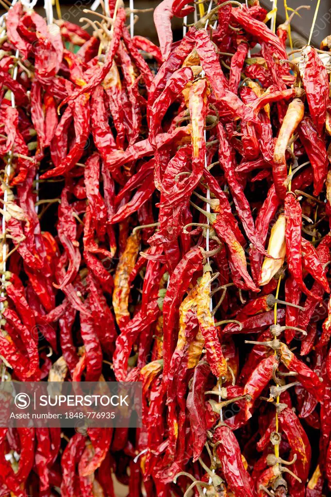 Dried chilli peppers in the vegetable market in Rovinj, Rovingo, Istria, Croatia, Europe