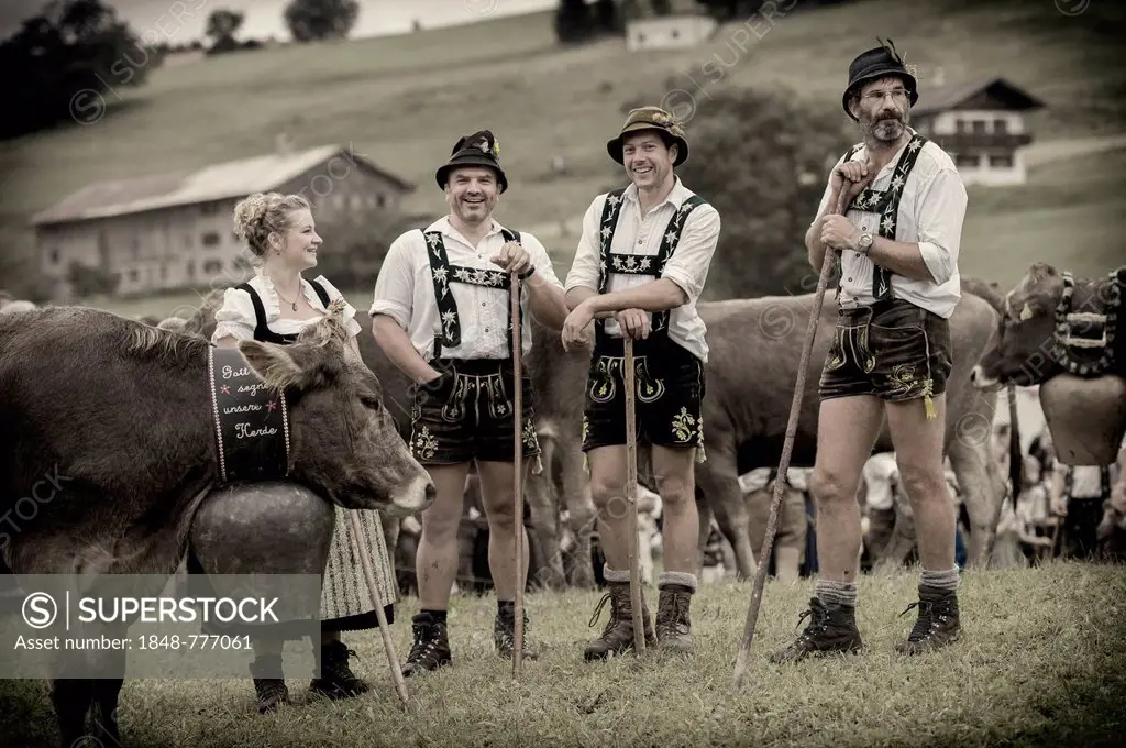 Shepherds during the Viehscheid cattle drive