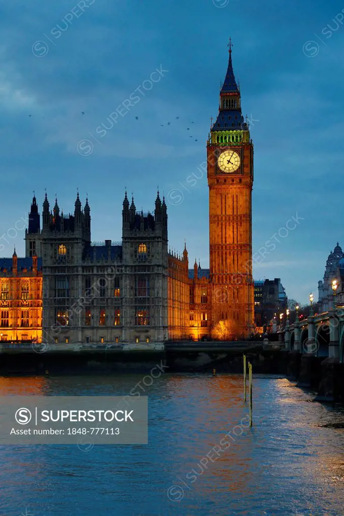 Westminster Hall, Elizabeth Tower or Big Ben, Houses of Parliament, River Thames, Westminster Bridge in the evening