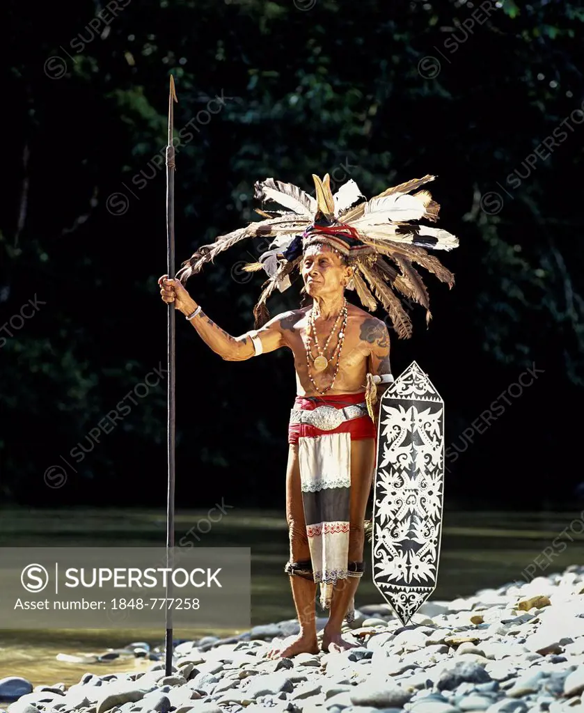 Head hunter of the ethnic group of the Iban people with a spear, Skrang River