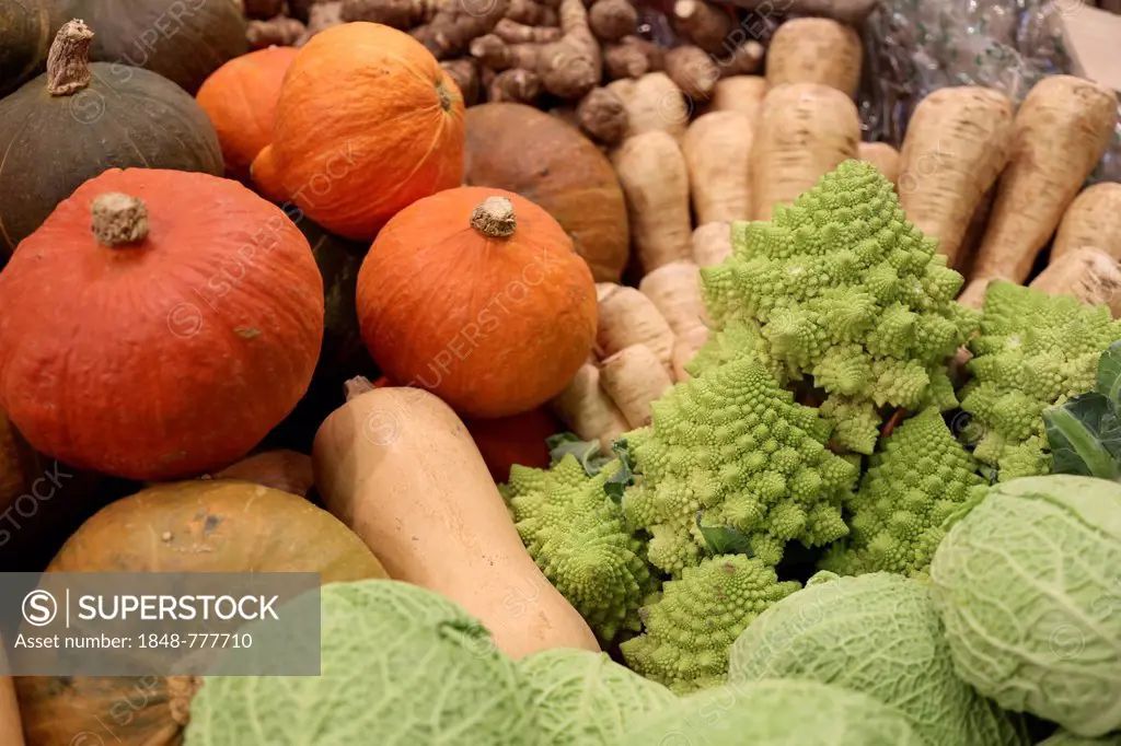 Pumpkins, parsnips, Romanesco and savoy cabbage at a stand at Fruit Logistica