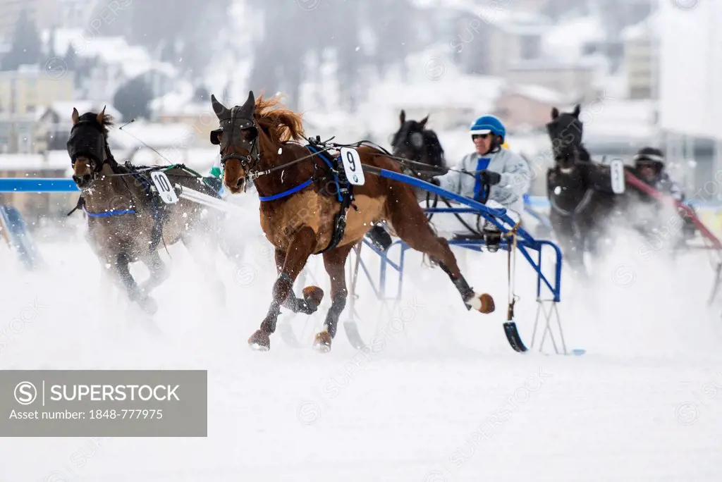Horse racing on a frozen lake