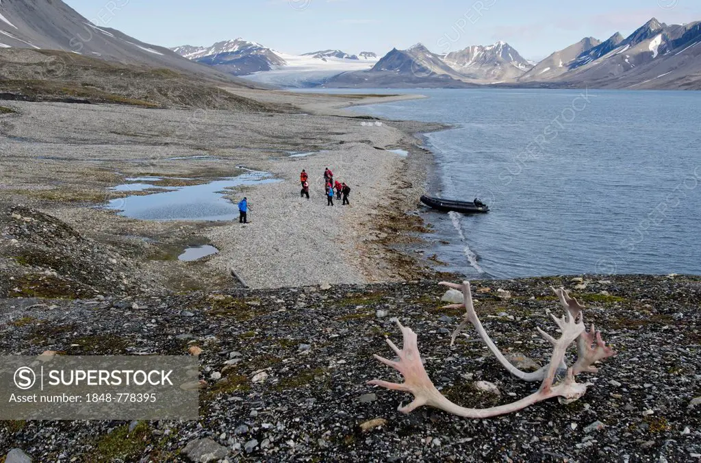 Reindeer antlers, Zodiac inflatable boat and guests of an expedition cruise on shore