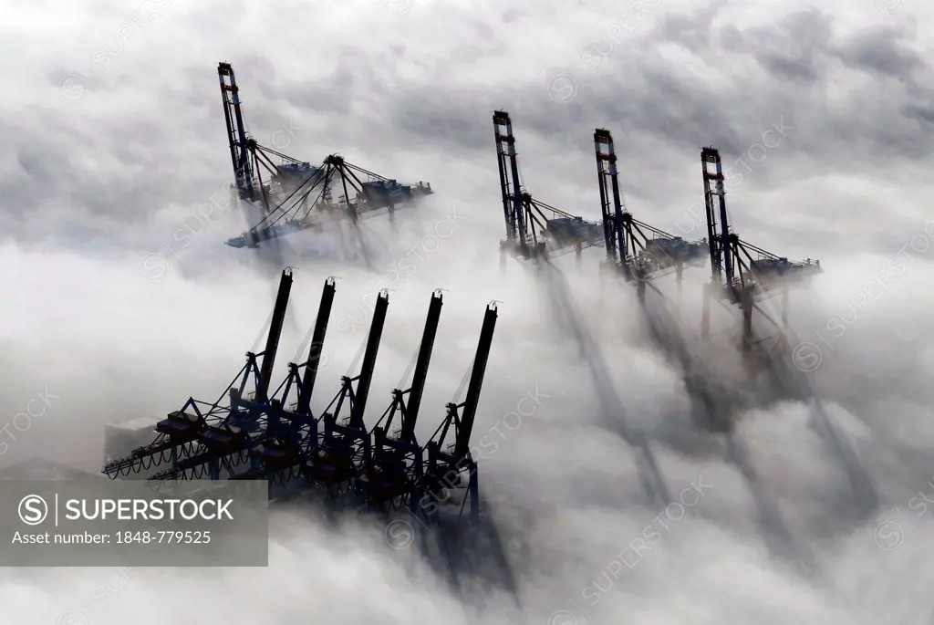 Aerial view, sea fog at the Port of Hamburg