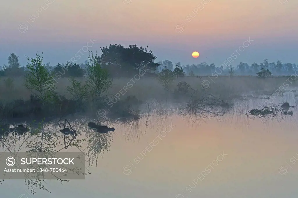 Rewetted bog, sunrise