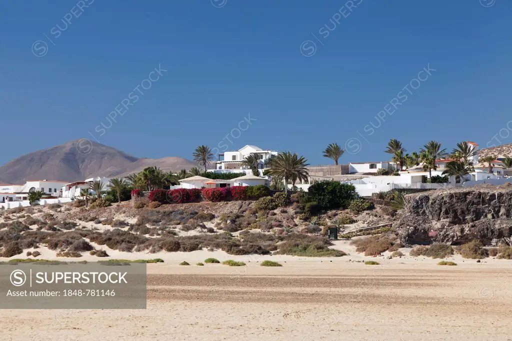 White buildings and palm trees, Casas Risco del Paso