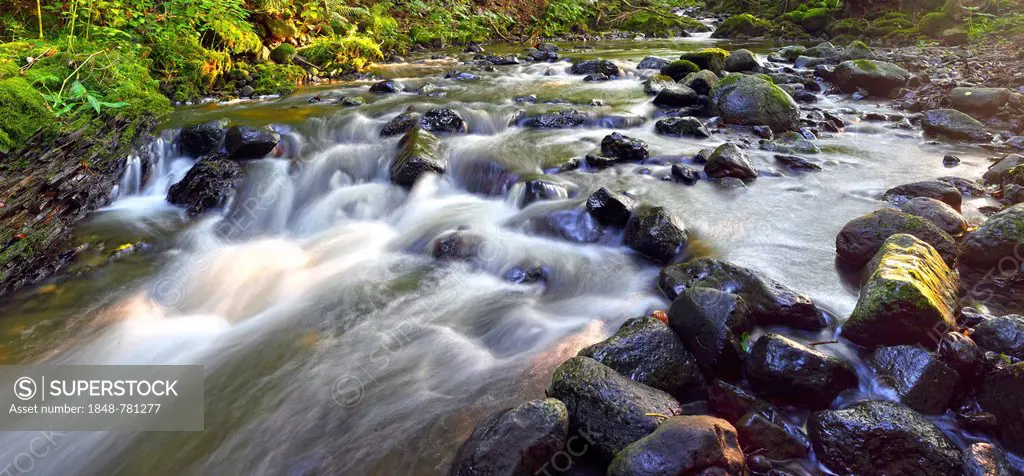 Mid-mountain stream with rocks in the stream bed