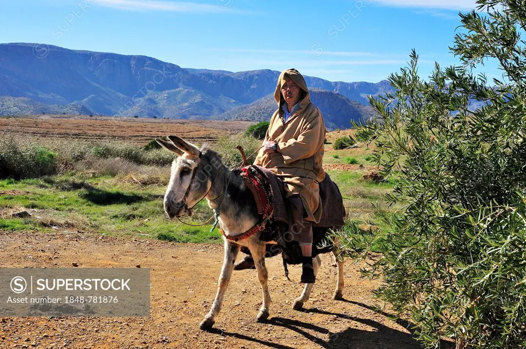 Man riding a donkey