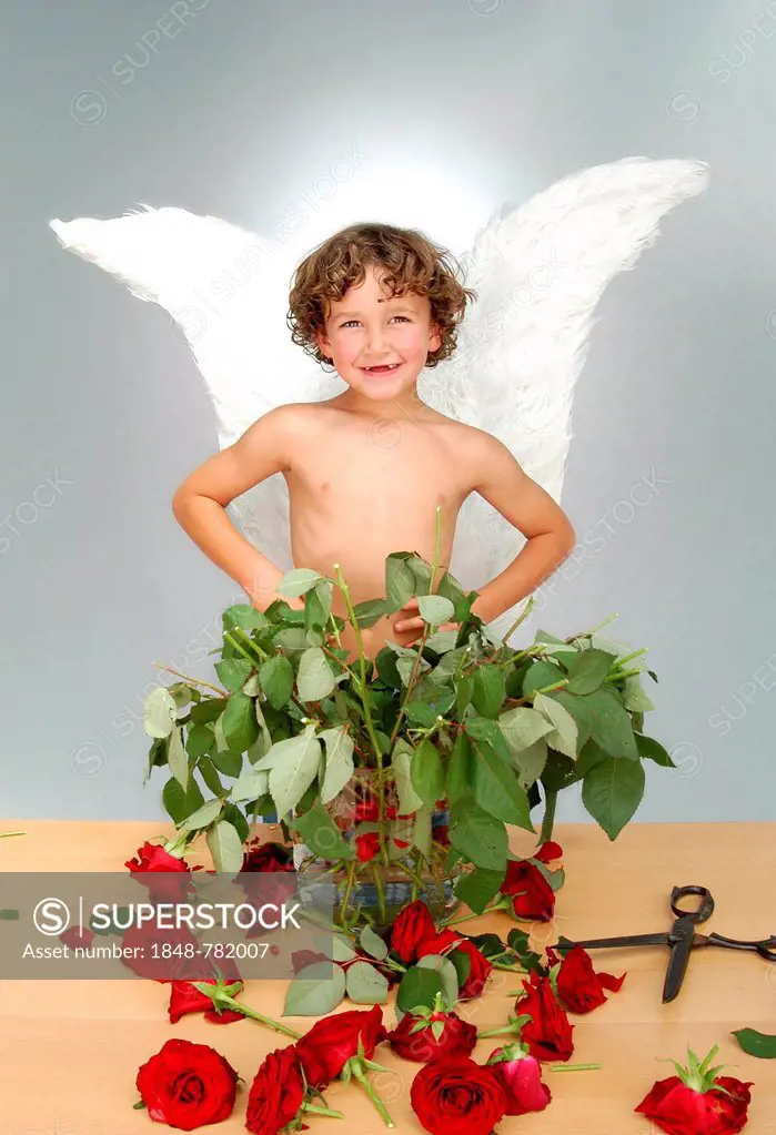 Boy with angel wings, after cutting the heads off a bouquet of roses with a large pair of scissors