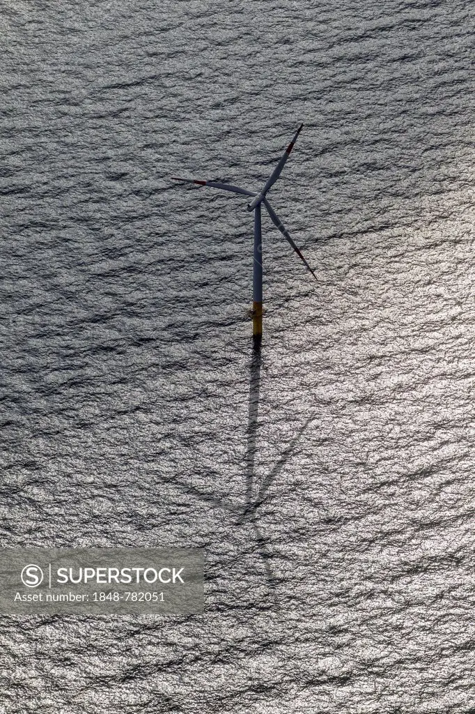 Aerial view, EnBW Baltic 1 offshore wind farm in the Baltic Sea, wind turbine with its shadow