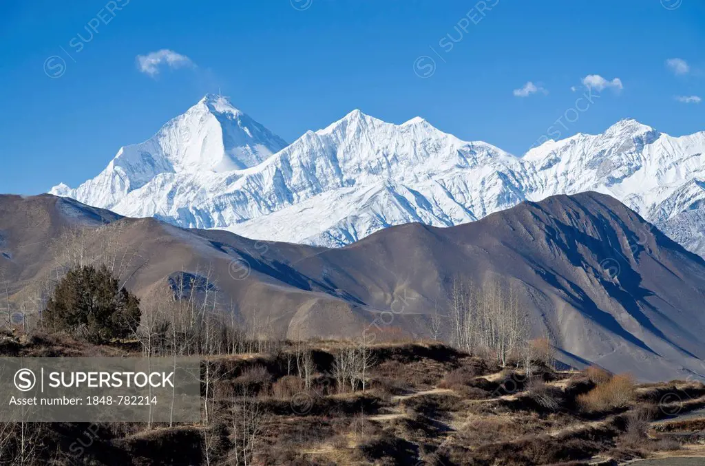 Dhaulagiri Mountain, 8167m, terrace fields in the foreground, seen from Muktinath