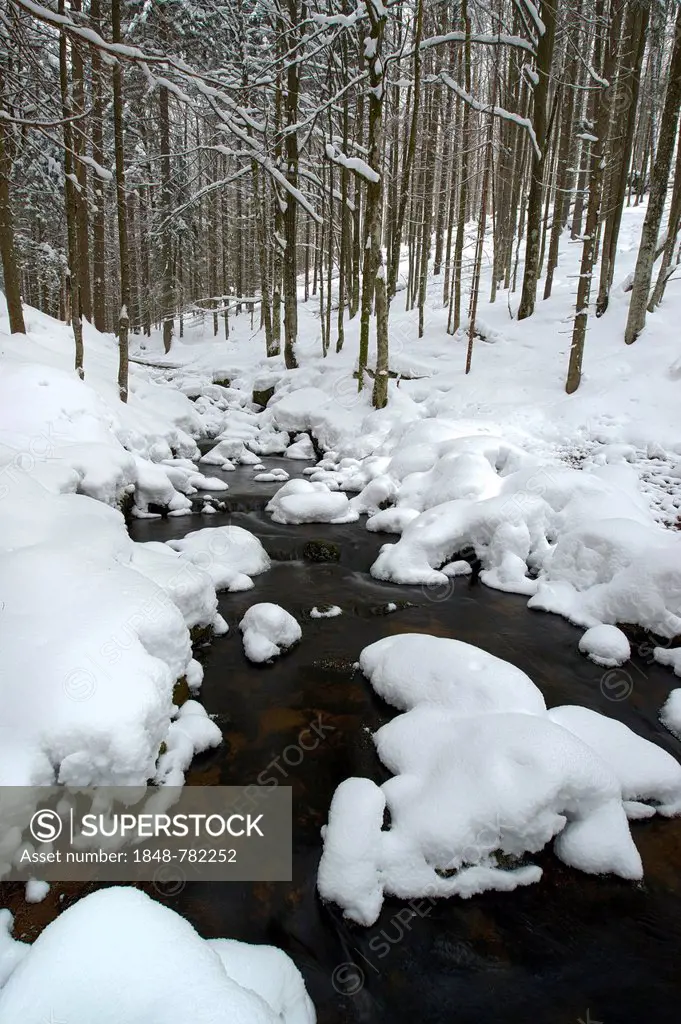 Winter landscape in the Bavarian Forest