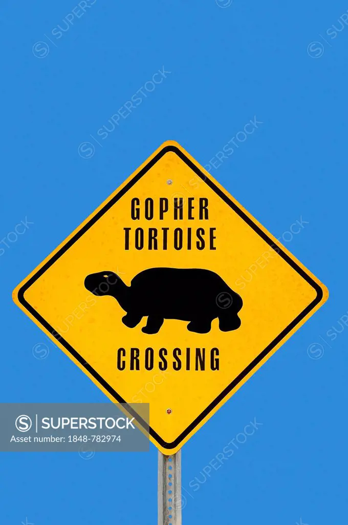 Warning sign, gopher tortoises crossing the road
