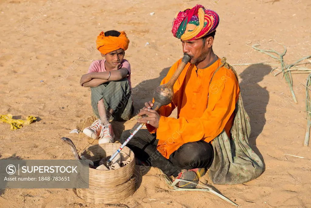 Rajasthani snake charmer with a turban, playing a flute, a cobra or Naja winding from a basket in front of him, his son sitting next to him