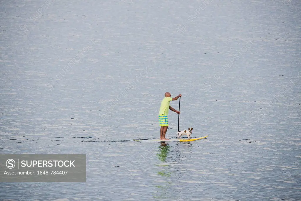 Stand-up paddler with dog