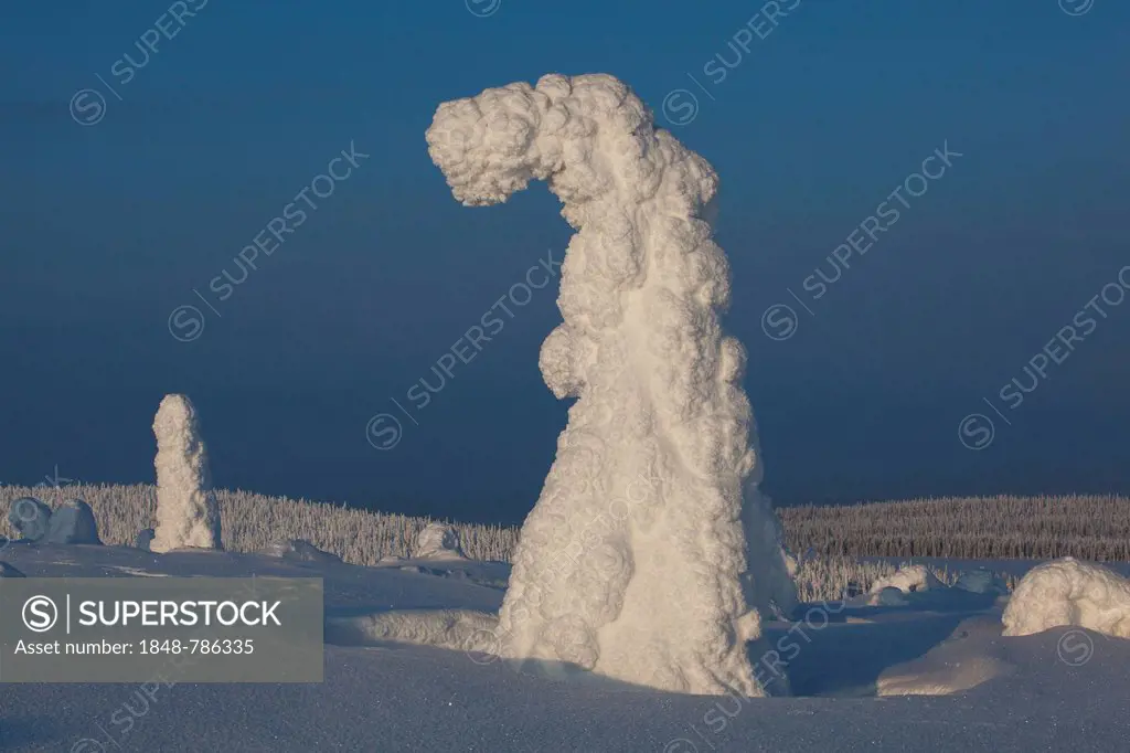 Fjell in winter, with snow-covered trees