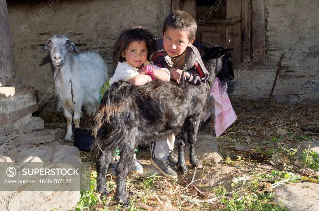 2 local children taking care of their goats