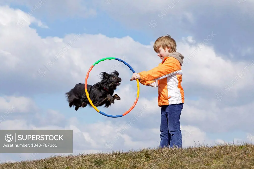 Dog jumping through a hoop held by a boy