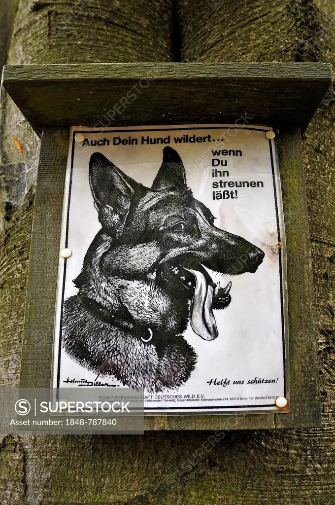 Sign Auch Dein Hund wildert .. wenn Du ihn streunen laesst, German for even your dog will hunt if you let it stray!