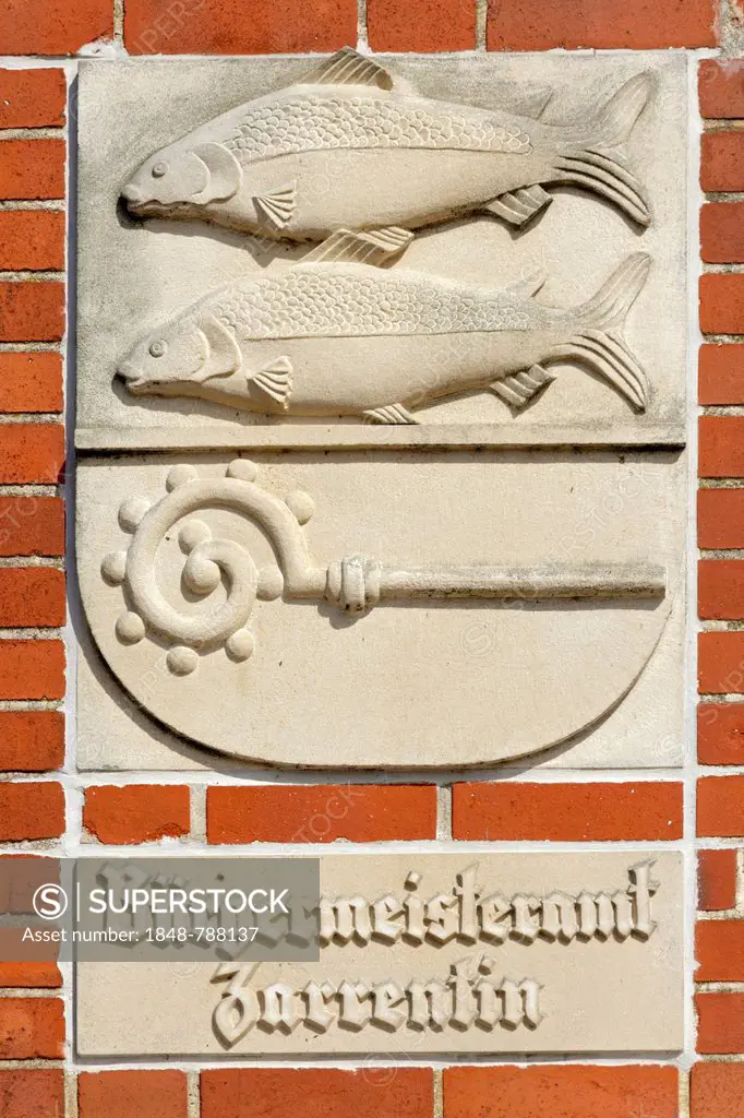 Fish reliefs on the façade of the mayor's office