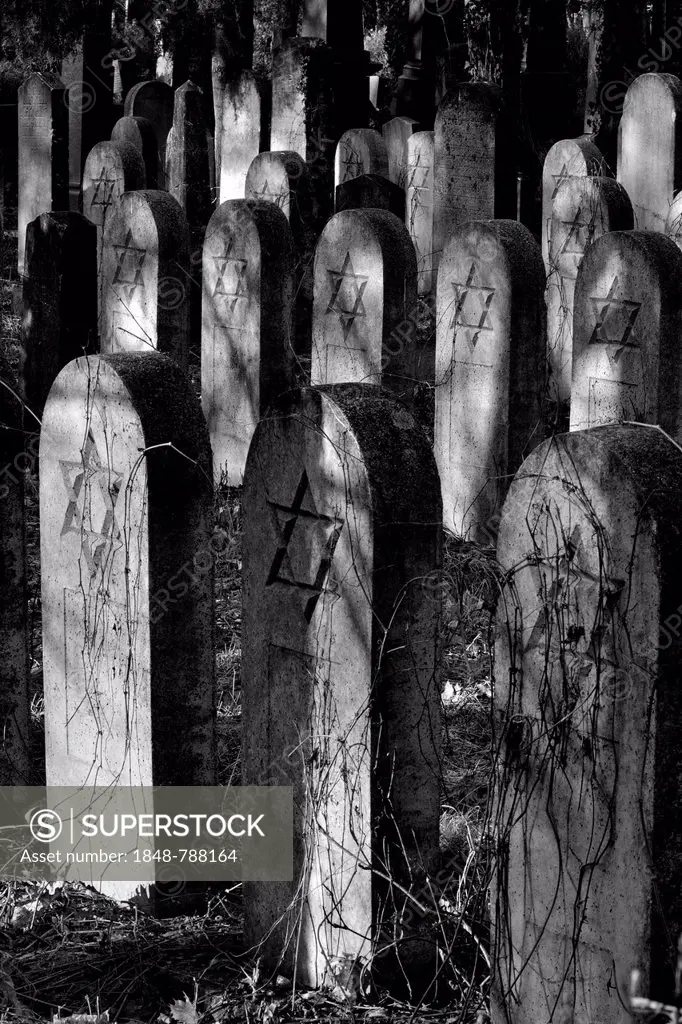 Group of old grave stones with Stars of David, Old Jewish cemetery, Zentralfriedhof central cemetary