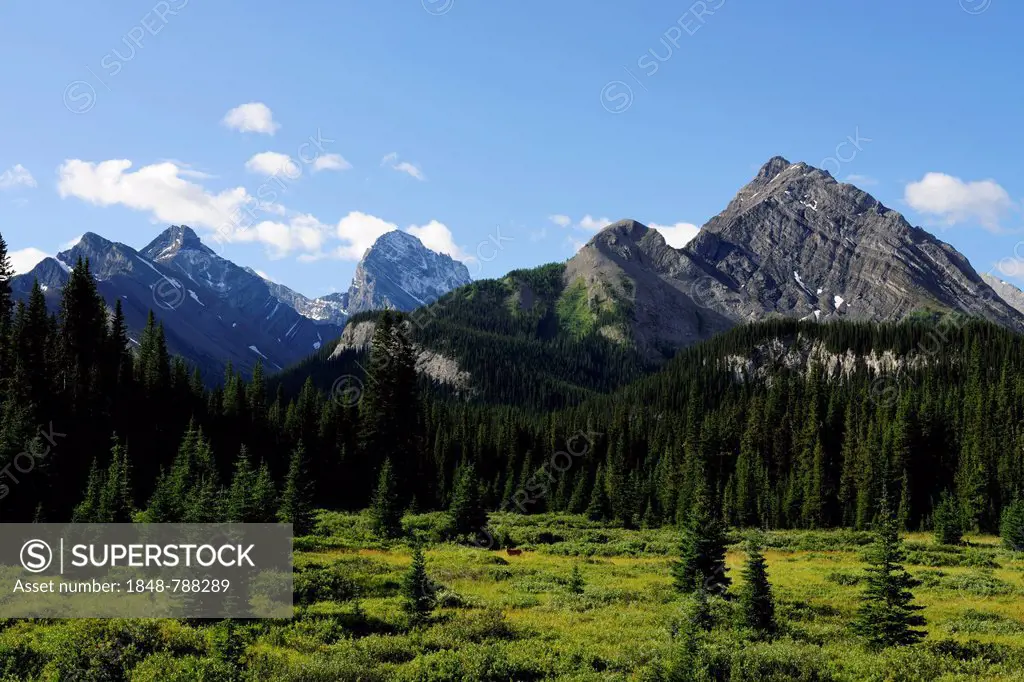 Mountains of the eastern foothills of the Rocky Mountains, in Kananaski Country, Alberta, Canada