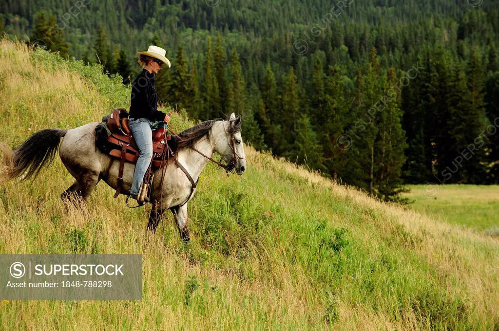 Cowgirl riding a gray horse through the prairie