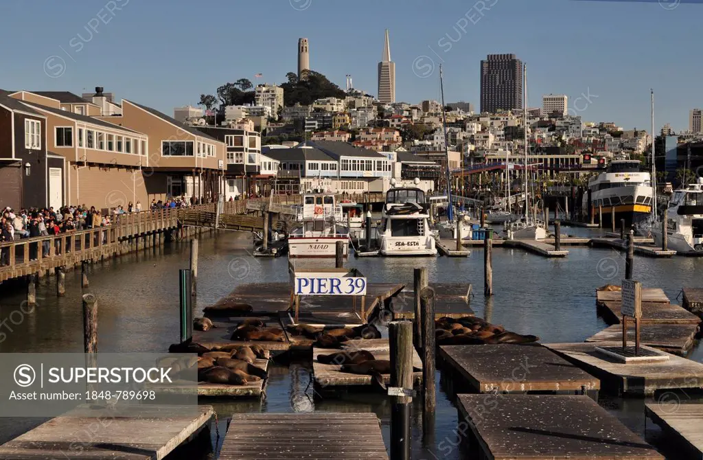 Pier 39. Coit Tower and Transamerica Building in the backdrop