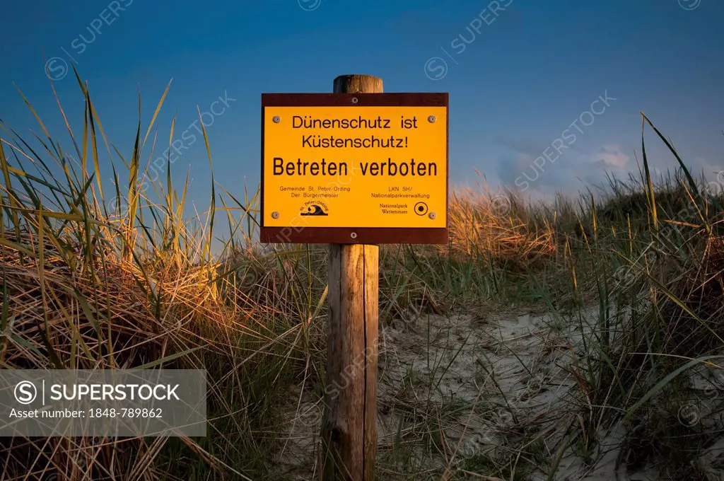 Sign, Duenenschutz ist Kuestenschutz, German for Dune protection is coastal protection