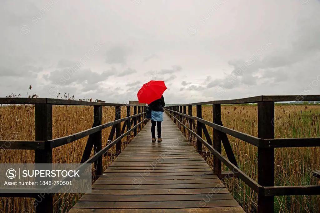 Woman holding a red umbrella while standing on a wooden pier