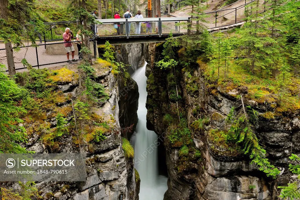 Tourists standing on a bridge over the Maligne Canyon