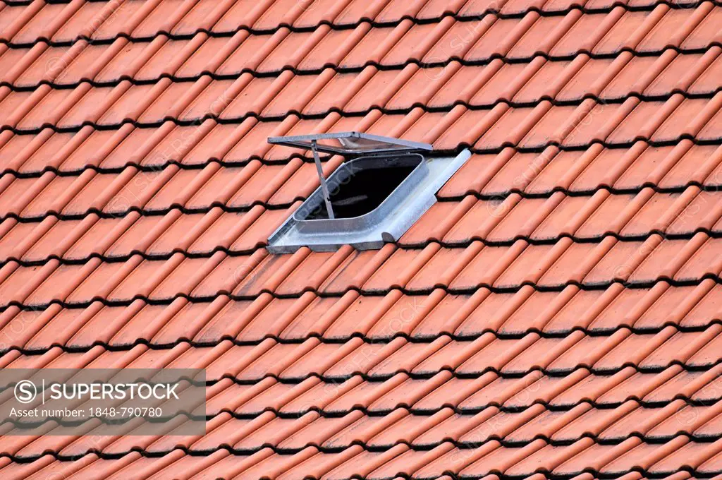 Roof, skylight, roof tiles