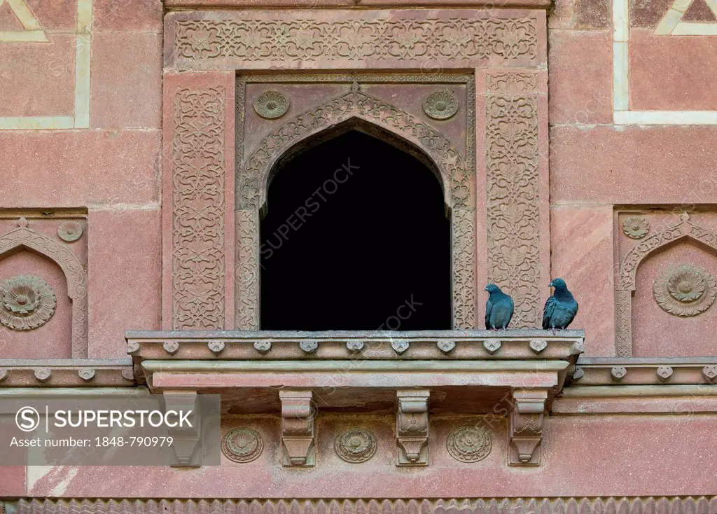 Pigeons on a balcony with decorative elements carved in sandstone, Red Fort