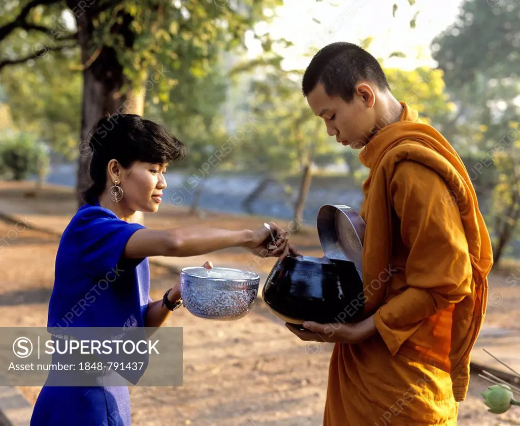 Begging monk, woman putting rice into the begging bowl of a Buddhist monk