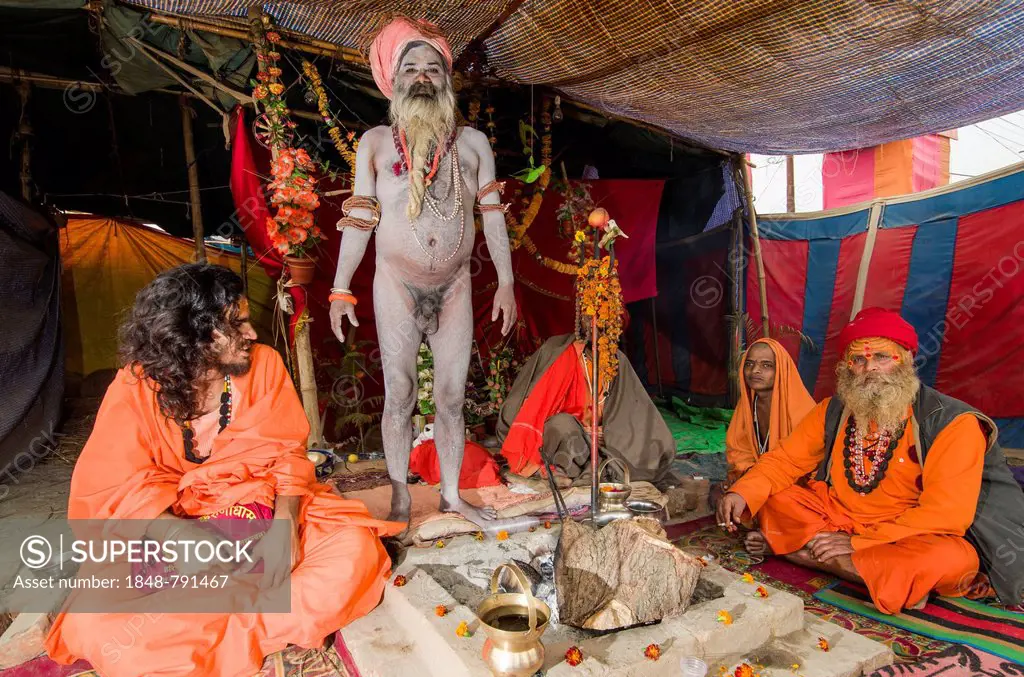 Shiva sadhu, holy man, with some fellow sadhus in his tent at the Sangam, the confluence of the rivers Ganges, Yamuna and Saraswati, during Kumbha Mel...
