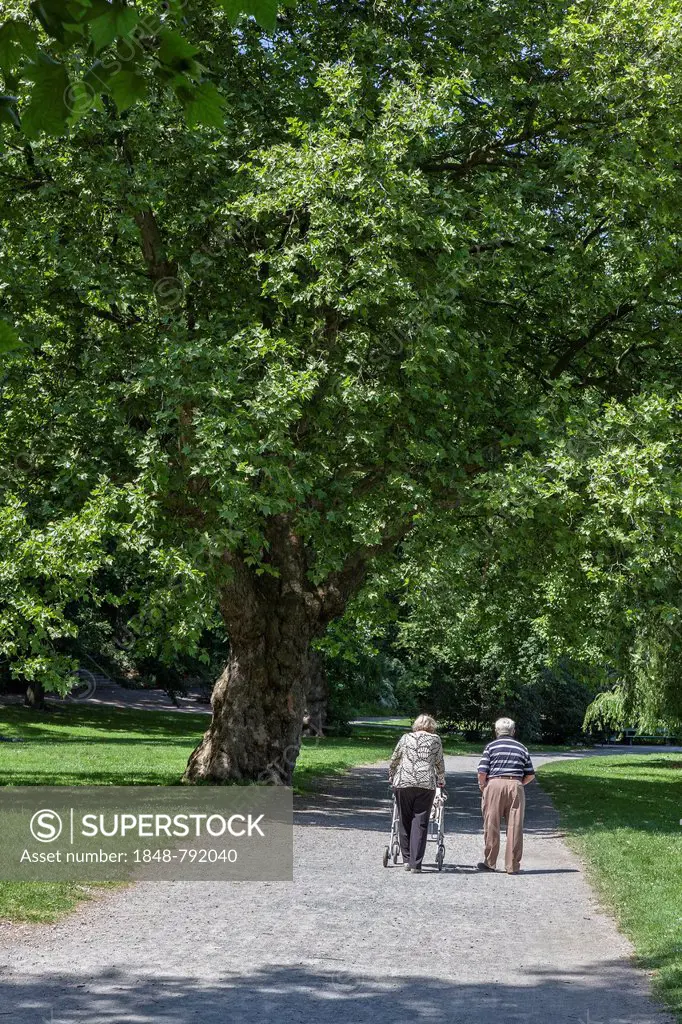 Elderly couple strolling in the park, woman using a rolling walker or rollator