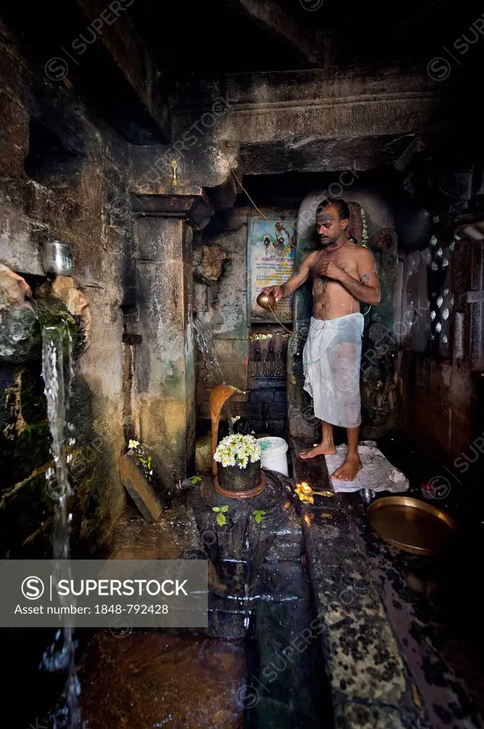 Brahmin priest, Shiva Temple with a Lingam phallic symbol, spring, Chittorgarh Fort