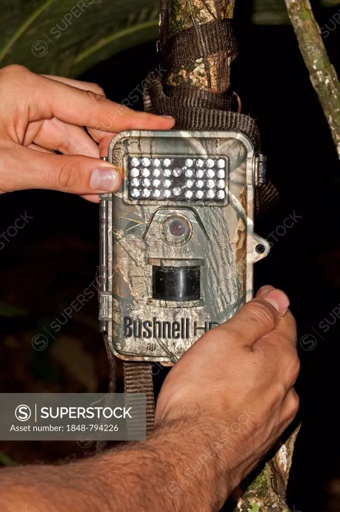 Bushnell Trophy Cam HD camera trap to record wildlife, installed at an animal crossing point